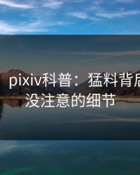 【独家】pixiv科普：猛料背后7个你从没注意的细节