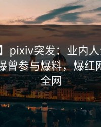 【爆料】pixiv突发：业内人士在中午时分被曝曾参与爆料，爆红网络席卷全网